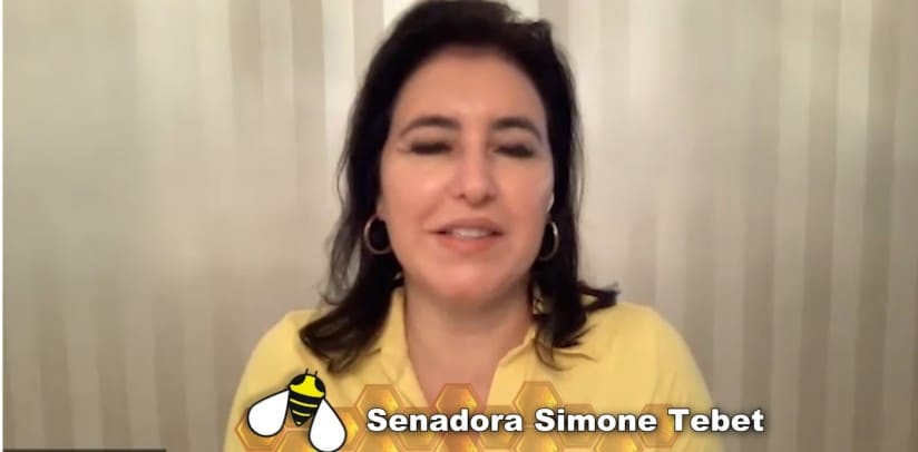 Simone Tebet